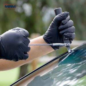 auto glass repair newmarket