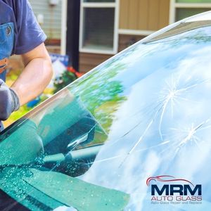 auto glass replacement newmarket