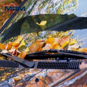fall windshield repair newmarket